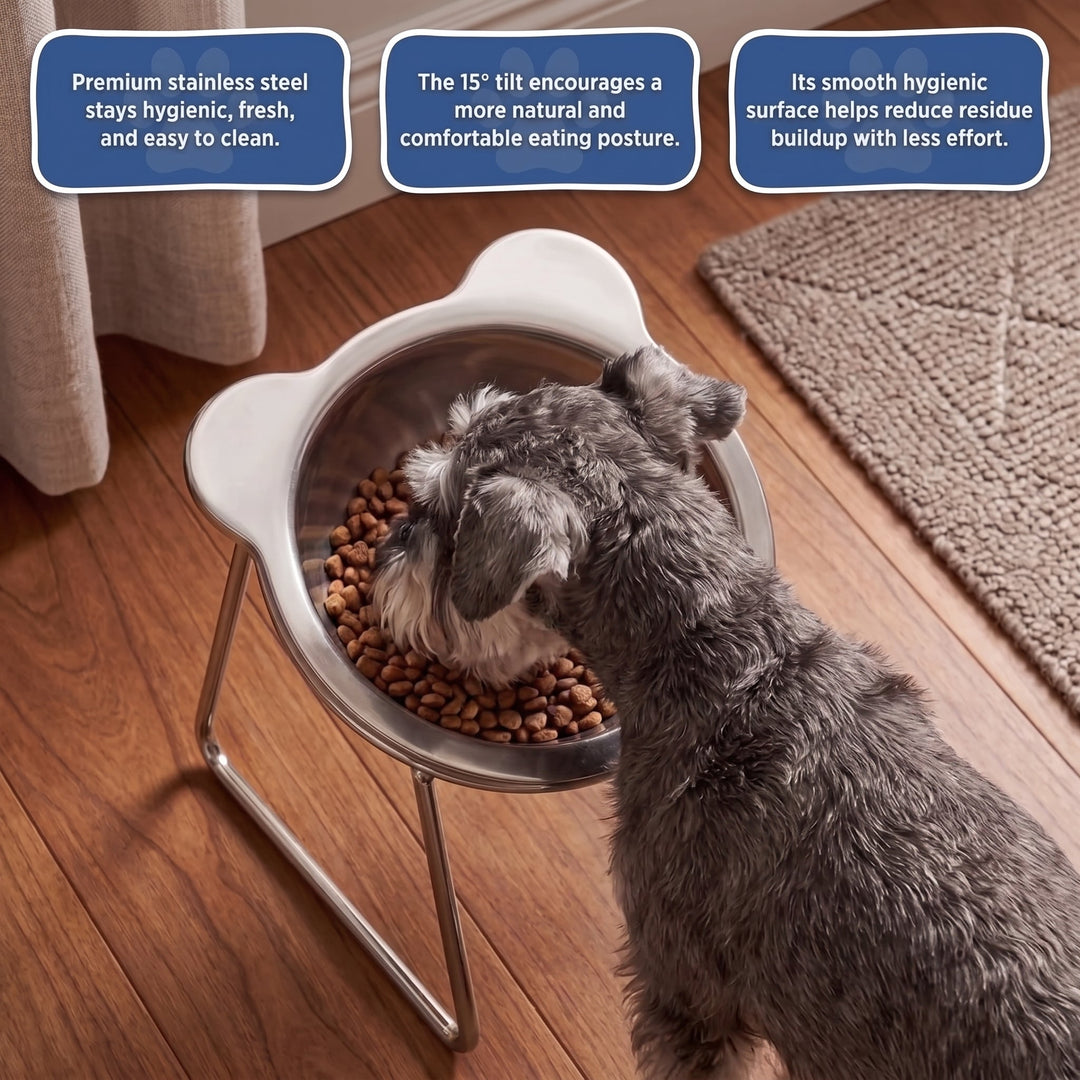 NAVEA™ Orthopedic Feeding Bowl Small